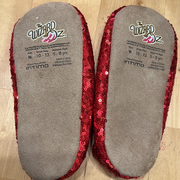 Dorothy from The Wizard of Oz - Full Costume Set - Toto and Ruby Slippers - Picture 7 of 14